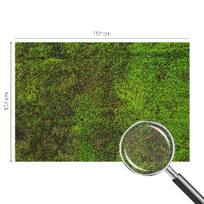 Fototapet børn Fototapet børn