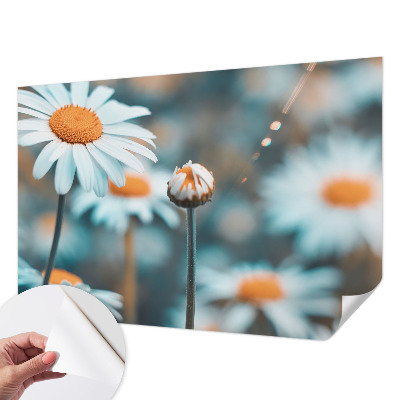 Vinyltapet Vinyltapet