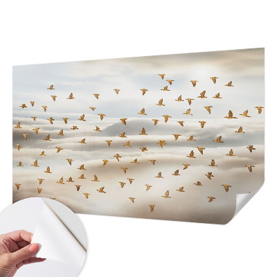 Tapet til køkken Tapet til køkken