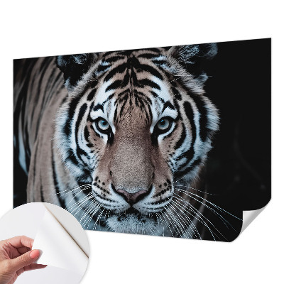 Selvklæbende fototapet Selvklæbende fototapet