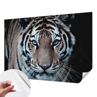 Selvklæbende fototapet Selvklæbende fototapet