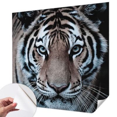 Selvklæbende fototapet Selvklæbende fototapet