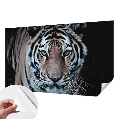 Selvklæbende fototapet Selvklæbende fototapet