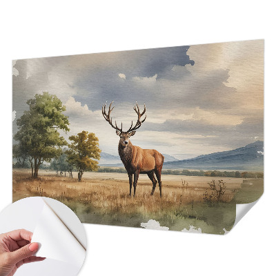 Tapet til køkken Tapet til køkken