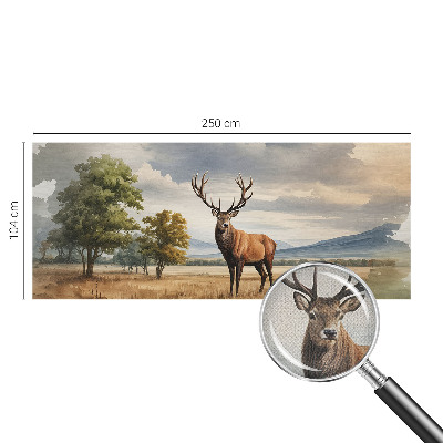 Tapet til køkken Tapet til køkken