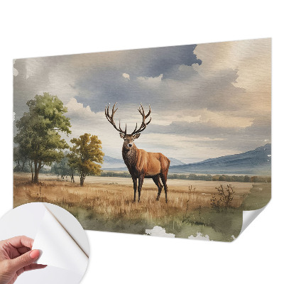 Tapet til køkken Tapet til køkken