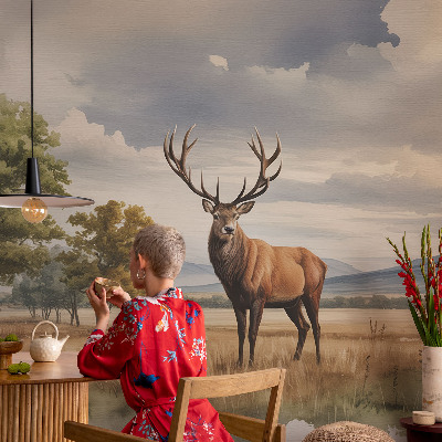 Tapet til køkken Tapet til køkken