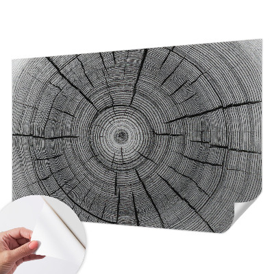 Selvklæbende fototapet Selvklæbende fototapet