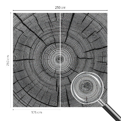 Selvklæbende fototapet Selvklæbende fototapet
