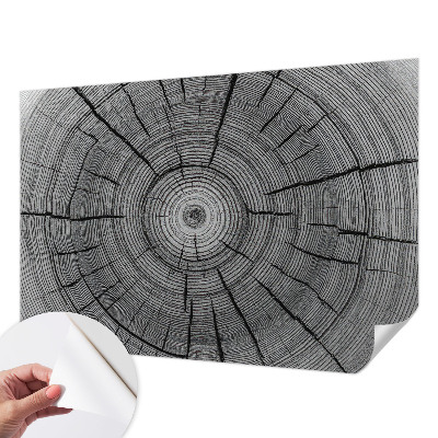 Selvklæbende fototapet Selvklæbende fototapet