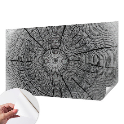 Selvklæbende fototapet Selvklæbende fototapet