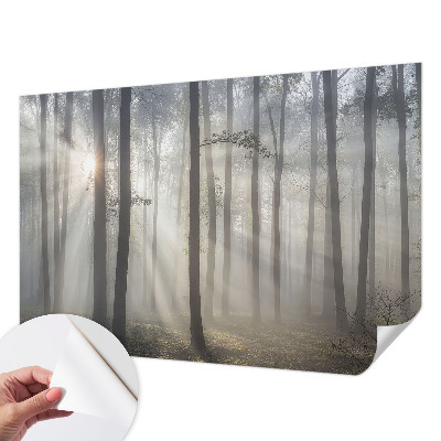 Vinyltapet Vinyltapet