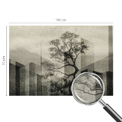 Billedtapet Billedtapet