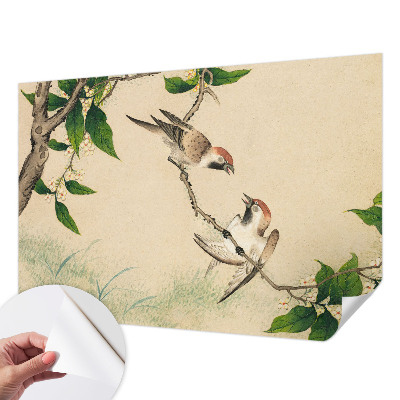 Tapet til soveværelset Tapet til soveværelset