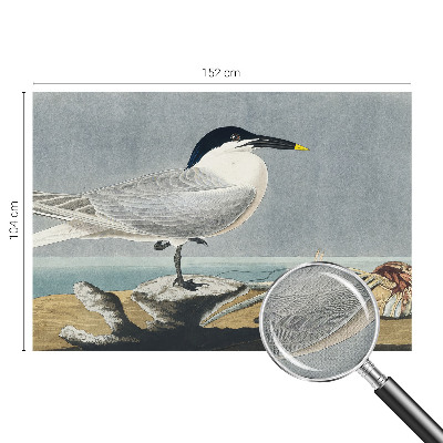 Tapet til børneværelse Tapet til børneværelse