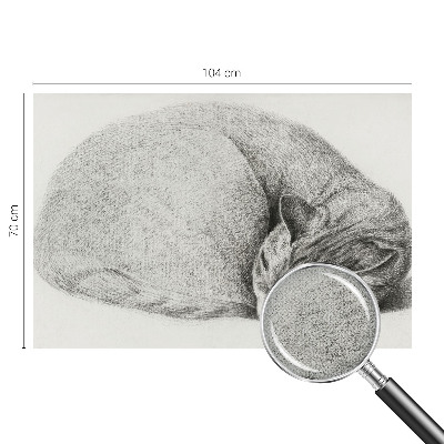 Fototapet børn Fototapet børn