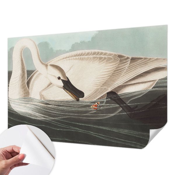 Retro tapet Retro tapet