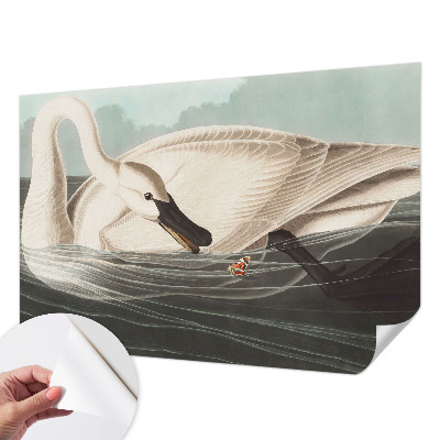 Retro tapet Retro tapet