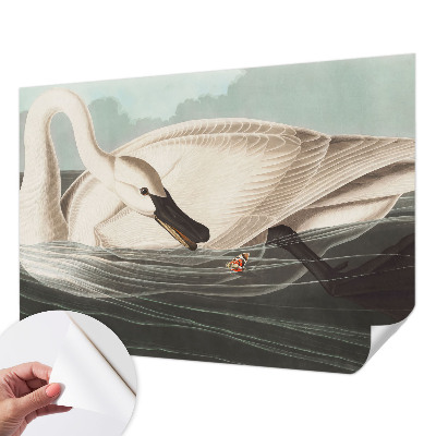 Retro tapet Retro tapet