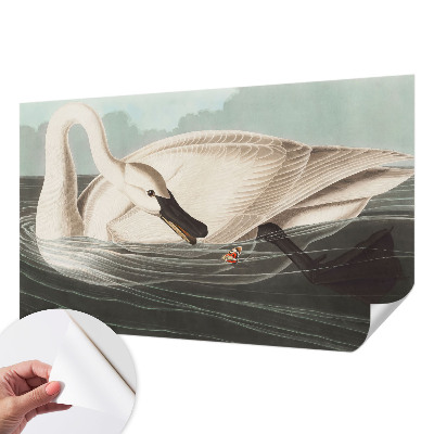 Retro tapet Retro tapet