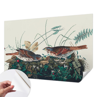 Vintage tapet Vintage tapet