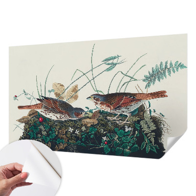 Vintage tapet Vintage tapet