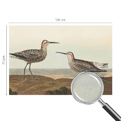 Børnetapet Børnetapet