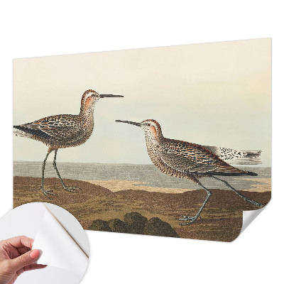 Børnetapet Børnetapet