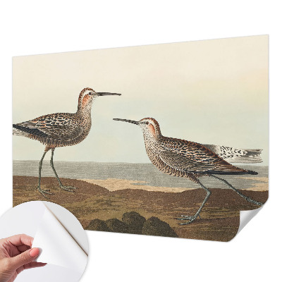 Børnetapet Børnetapet