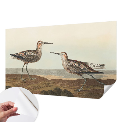 Børnetapet Børnetapet