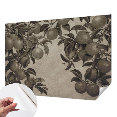 Fototapet børn Fototapet børn