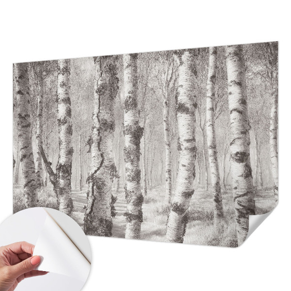 Billedtapet Billedtapet