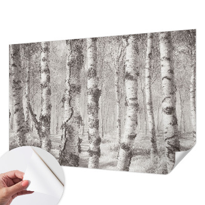 Billedtapet Billedtapet