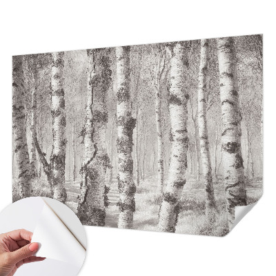 Billedtapet Billedtapet