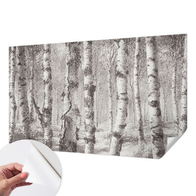 Billedtapet Billedtapet