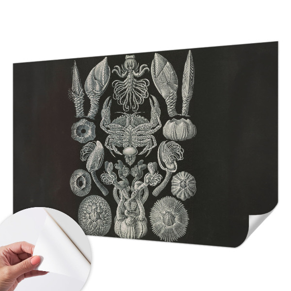 Selvklæbende vinyltapet Selvklæbende vinyltapet