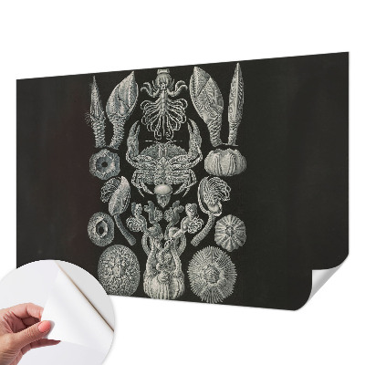 Selvklæbende vinyltapet Selvklæbende vinyltapet