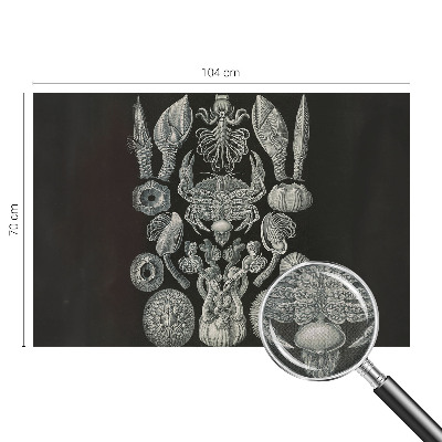 Selvklæbende vinyltapet Selvklæbende vinyltapet