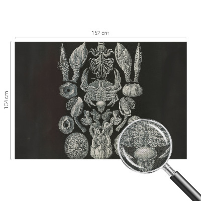 Selvklæbende vinyltapet Selvklæbende vinyltapet