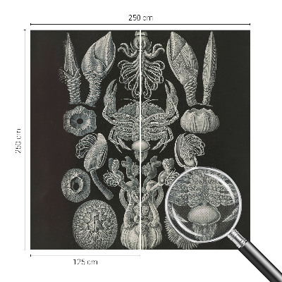 Selvklæbende vinyltapet Selvklæbende vinyltapet