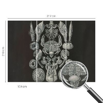 Selvklæbende vinyltapet Selvklæbende vinyltapet