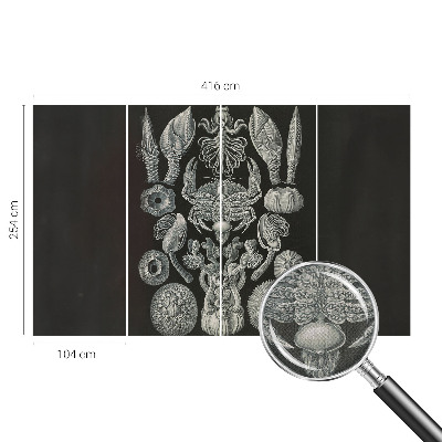 Selvklæbende vinyltapet Selvklæbende vinyltapet