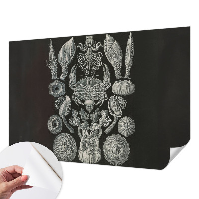 Selvklæbende vinyltapet Selvklæbende vinyltapet