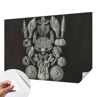 Selvklæbende vinyltapet Selvklæbende vinyltapet