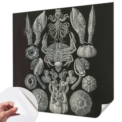 Selvklæbende vinyltapet Selvklæbende vinyltapet