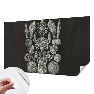 Selvklæbende vinyltapet Selvklæbende vinyltapet