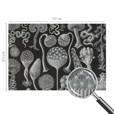 Vinyltapet Vinyltapet