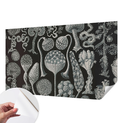 Vinyltapet Vinyltapet