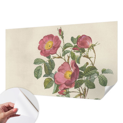 Fjernbar tapet Fjernbar tapet