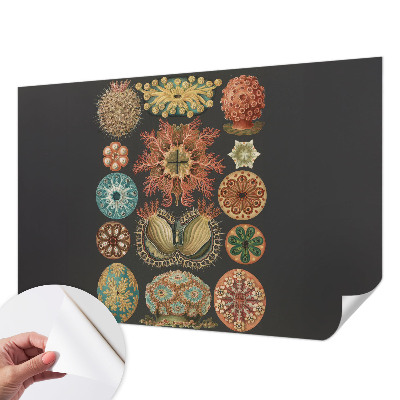 Tapet til soveværelset Tapet til soveværelset